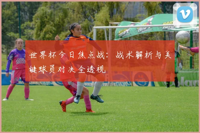 世界杯今日焦点战：战术解析与关键球员对决全透视